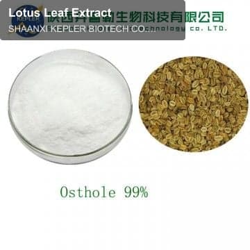 Lotus Leaf Extract