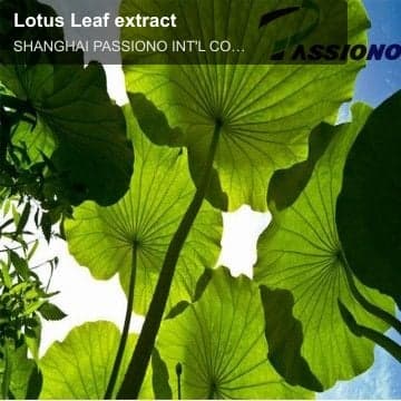 Lotus Leaf extract