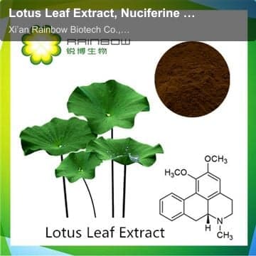 Lotus Leaf Extract, Nuciferine 2%-98%
