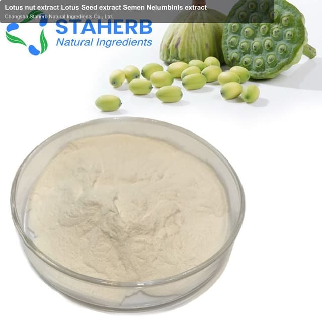 Lotus nut extract Lotus Seed extract Semen Nelumbinis extract