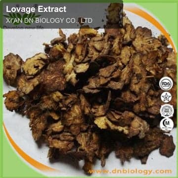 Lovage Extract
