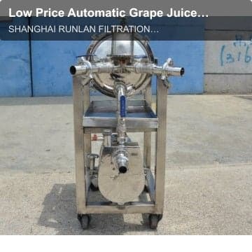 Low Price Automatic Grape Juicer Industrial Filtering Equipment