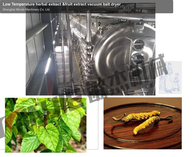 Low Temperature herbal extract &fruit extract vacuum belt dryer