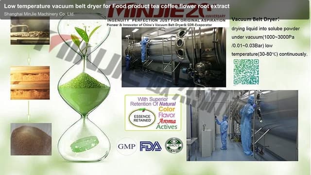 Low temperature vacuum belt dryer for Food product tea coffee flower root extract