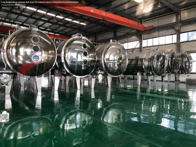 Low temperature vacuum belt dryer for natural extract antioxidant & antimicrobials