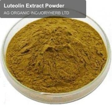 Luteolin Extract Powder