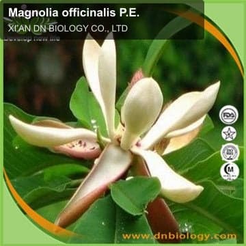 Magnolia officinalis P.E.