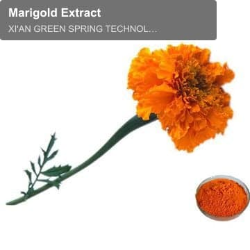 Marigold Extract