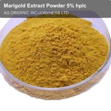Marigold Extract Powder 5% hplc
