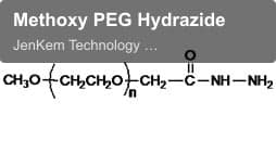 Methoxy PEG Hydrazide