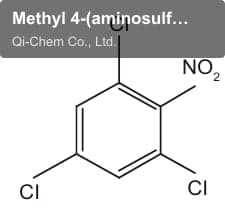 Methyl 4-(aminosulfonyl)-5-methylthiophene-3-carboxylate
