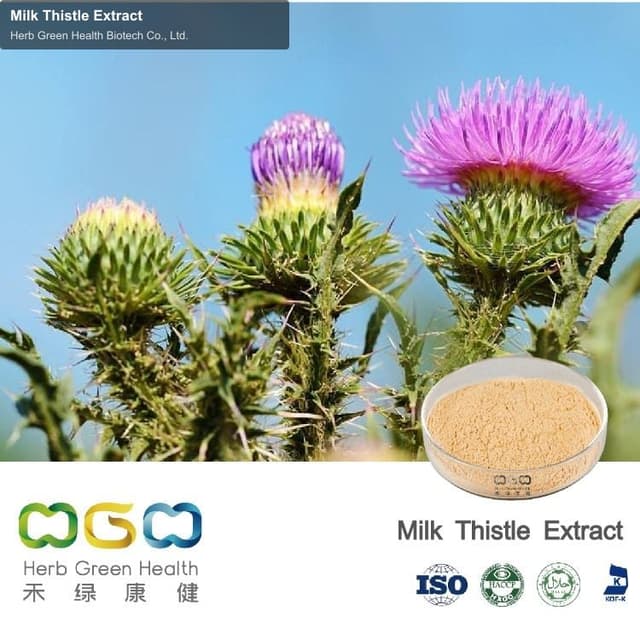 Milk Thistle Extract