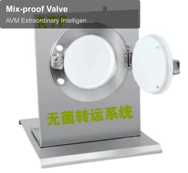 Mix-proof Valve