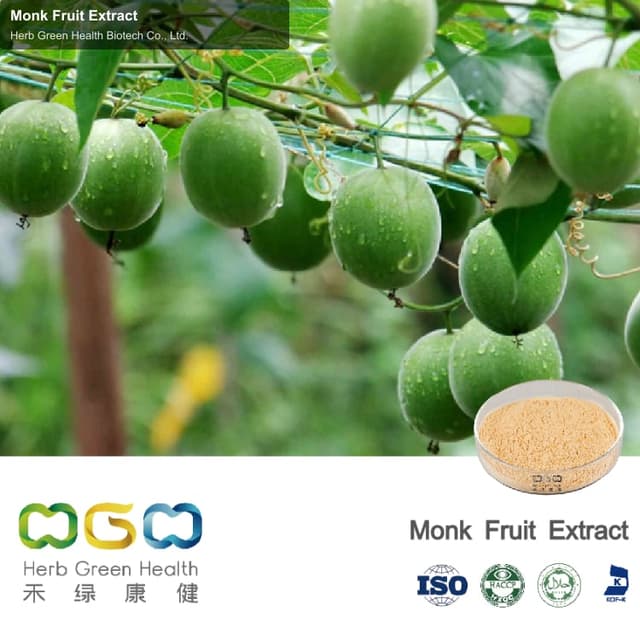 Monk Fruit Extract