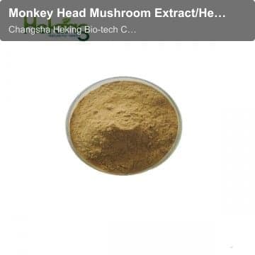 Monkey Head Mushroom Extract/Hericium erinaceus Extract