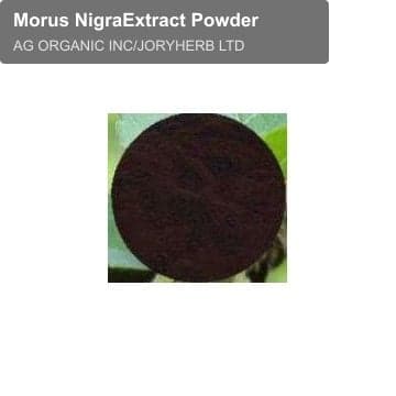 Morus NigraExtract Powder