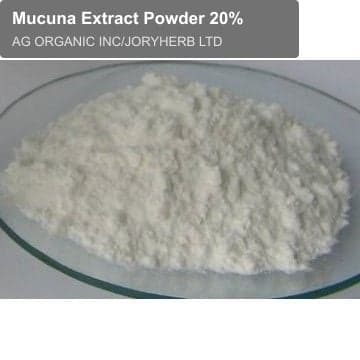 Mucuna Extract Powder 20%