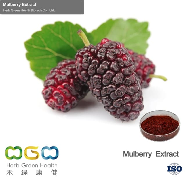 Mulberry Extract