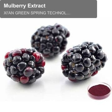 Mulberry Extract
