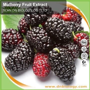 Mulberry Fruit Extract