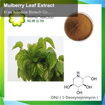 Mulberry Leaf Extract