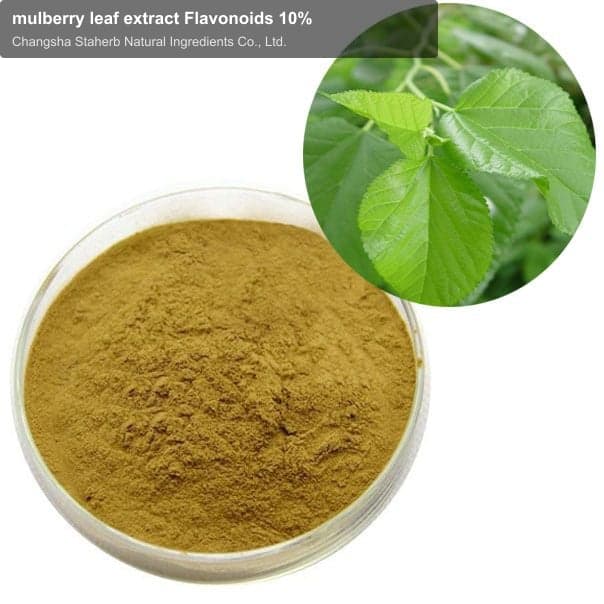 mulberry leaf extract Flavonoids 10%