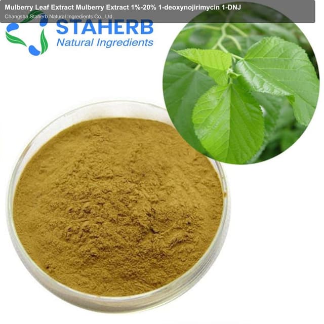 Mulberry Leaf Extract Mulberry Extract 1%-20% 1-deoxynojirimycin 1-DNJ