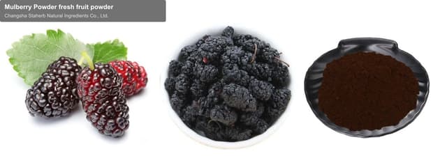 Mulberry Powder fresh fruit powder