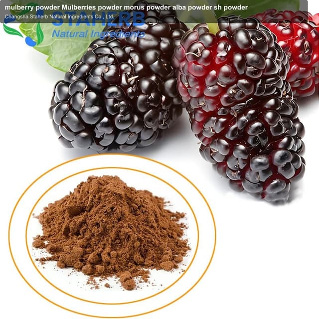 mulberry powder Mulberries powder morus powder alba powder sh powder