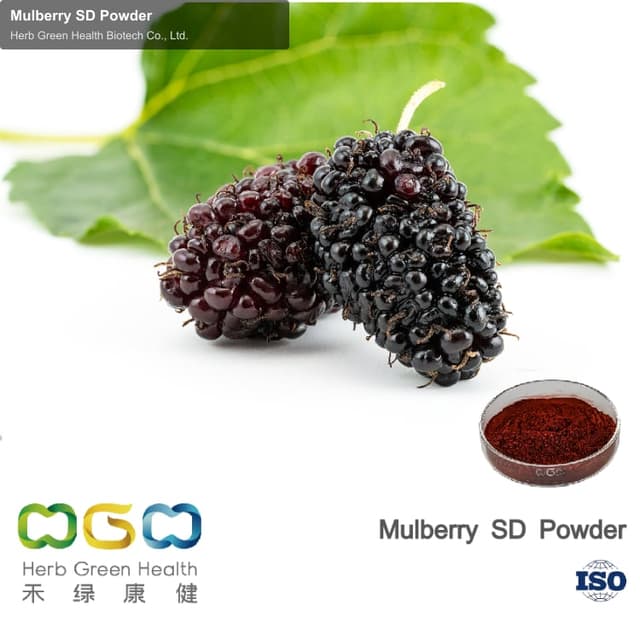 Mulberry SD Powder