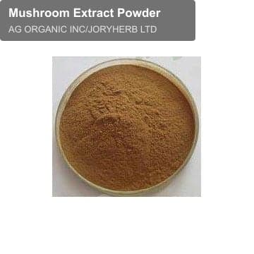 Mushroom Extract Powder
