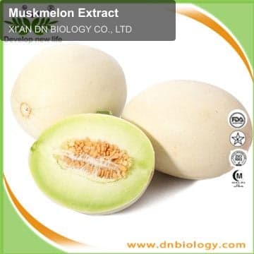 Muskmelon Extract