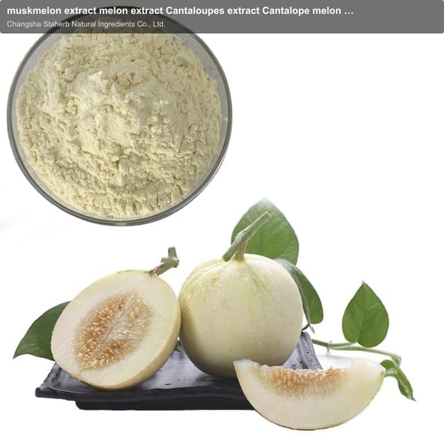 muskmelon extract melon extract Cantaloupes extract Cantalope melon extract cantaloupe extract