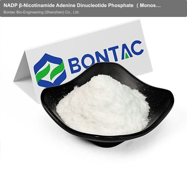 NADP β-Nicotinamide Adenine Dinucleotide Phosphate （Monosodium salt）