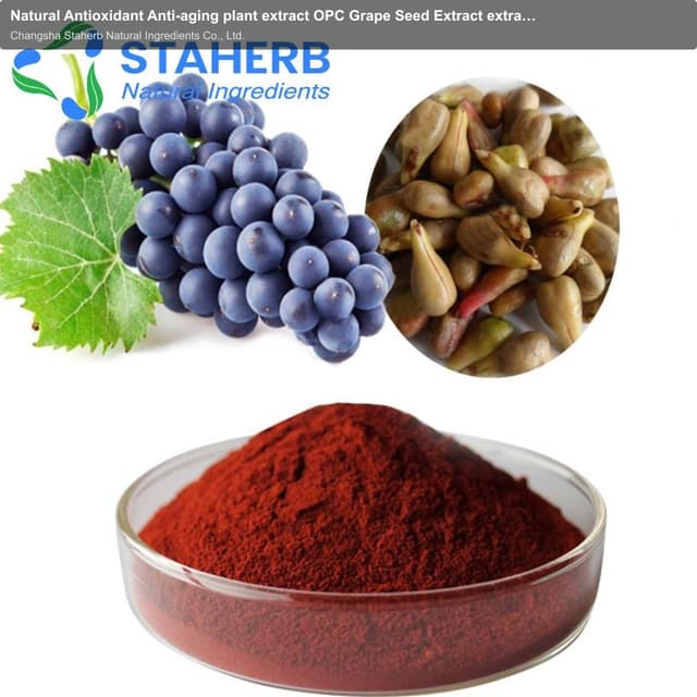 Natural Antioxidant Anti-aging plant extract OPC Grape Seed Extract extract of grape seed