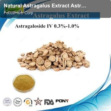 Natural Astragalus Extract Astragaloside IV 0.3%-1.%