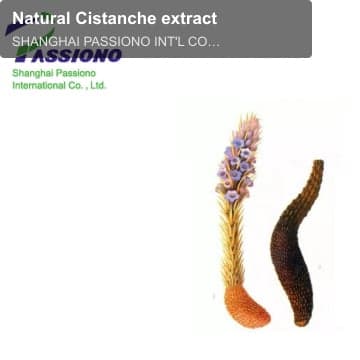 Natural Cistanche extract
