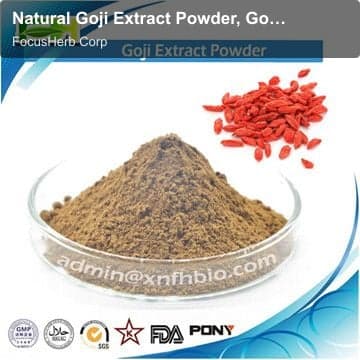 Natural Goji Extract Powder, Goji Extract