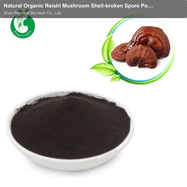 Natural Organic Reishi Mushroom Shell-broken Spore Powder