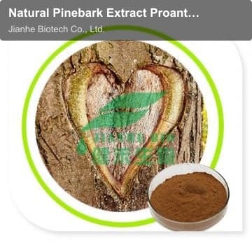 Natural Pinebark Extract Proanthocyanidins