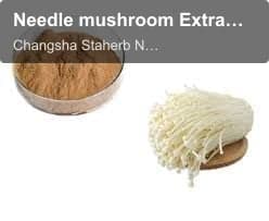 Needle mushroom Extract, Enoki Extract, Enokitake extract powder
