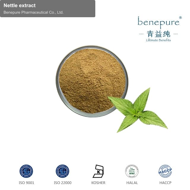 Nettle extract
