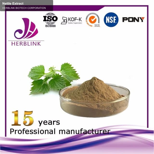 Nettle Extract