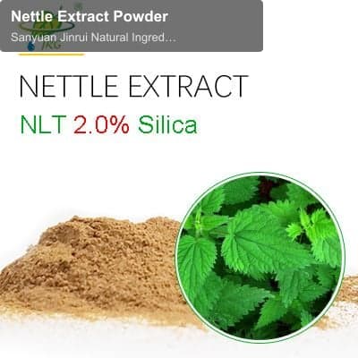 Nettle Extract Powder