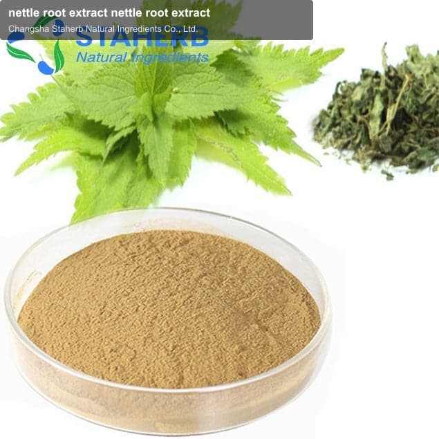 nettle root extract nettle root extract