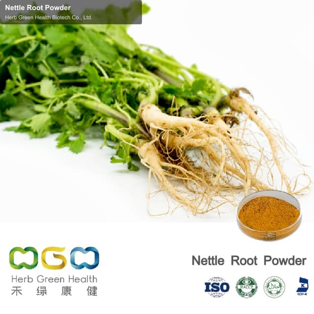 Nettle Root Powder