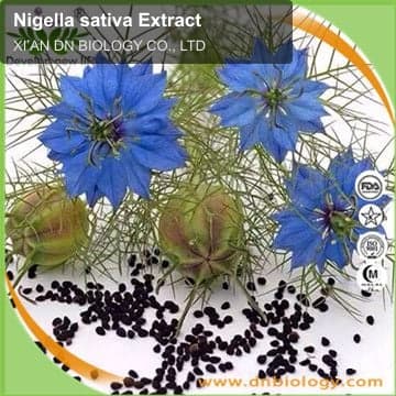 Nigella sativa Extract