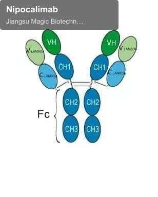 Nipocalimab