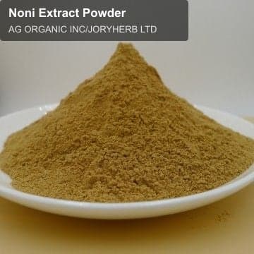 Noni Extract Powder