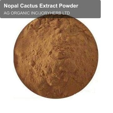 Nopal Cactus Extract Powder